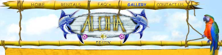 aloha gallery banner